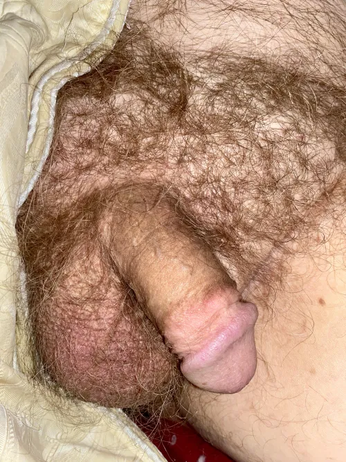 (60) No plans for the day, sigh. by captjens