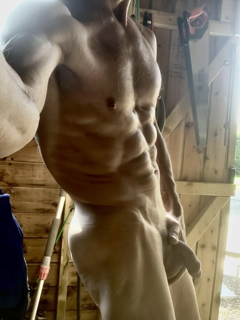 (61) as I’m twice the official age do I get an award? posted by guzzigrind