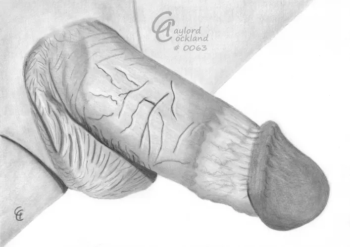 (#63) erect circumcised penis, drawn by me by idffipff