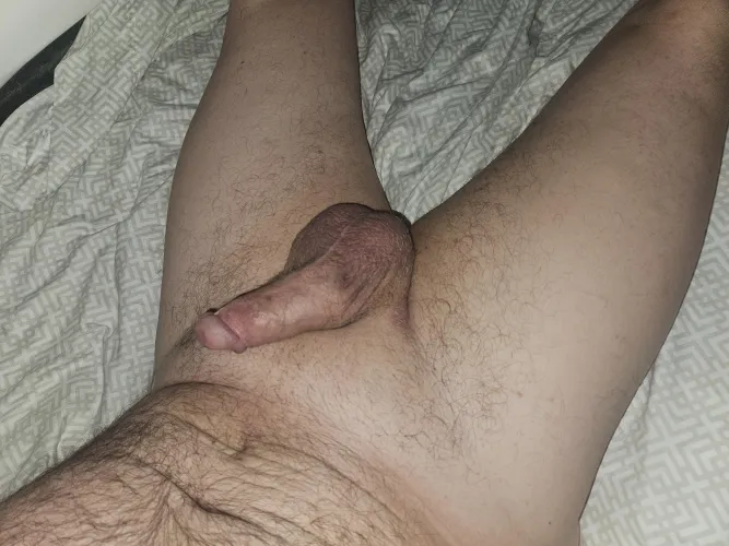 63 recently single male looking for new friends for mutual enjoyment. by CowboyJoe1963
