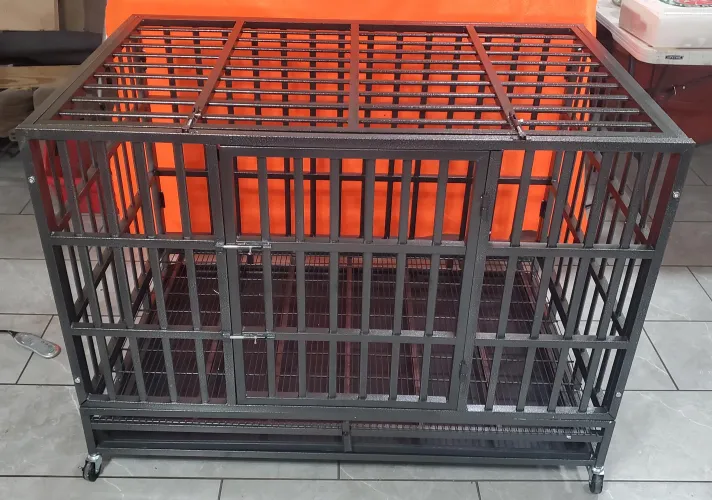 65 [M4F] #NY #Albany- 18 and over Gen Z or Millenial girls for Slave experience by Cool-Attitude-5769