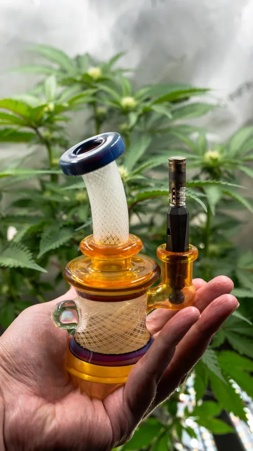 7ish years still one of my favorite combos by ascendingtom