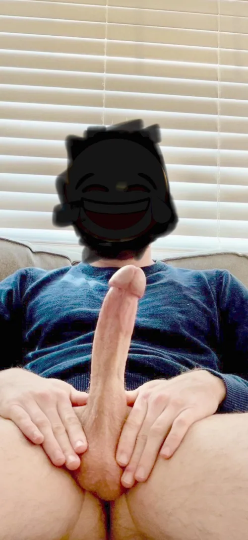 8” bull for your wife by Mobile_Ad8722