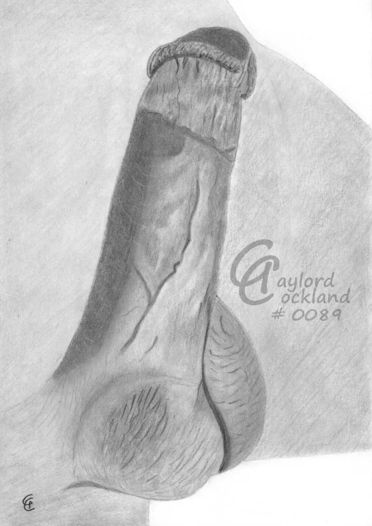 (#89) erect circumcised penis, drawn by me posted by idffipff