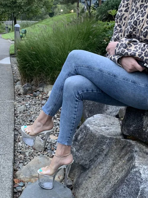 8inch pleaser flamingos in public! A sight you don’t see too often! by [deleted]