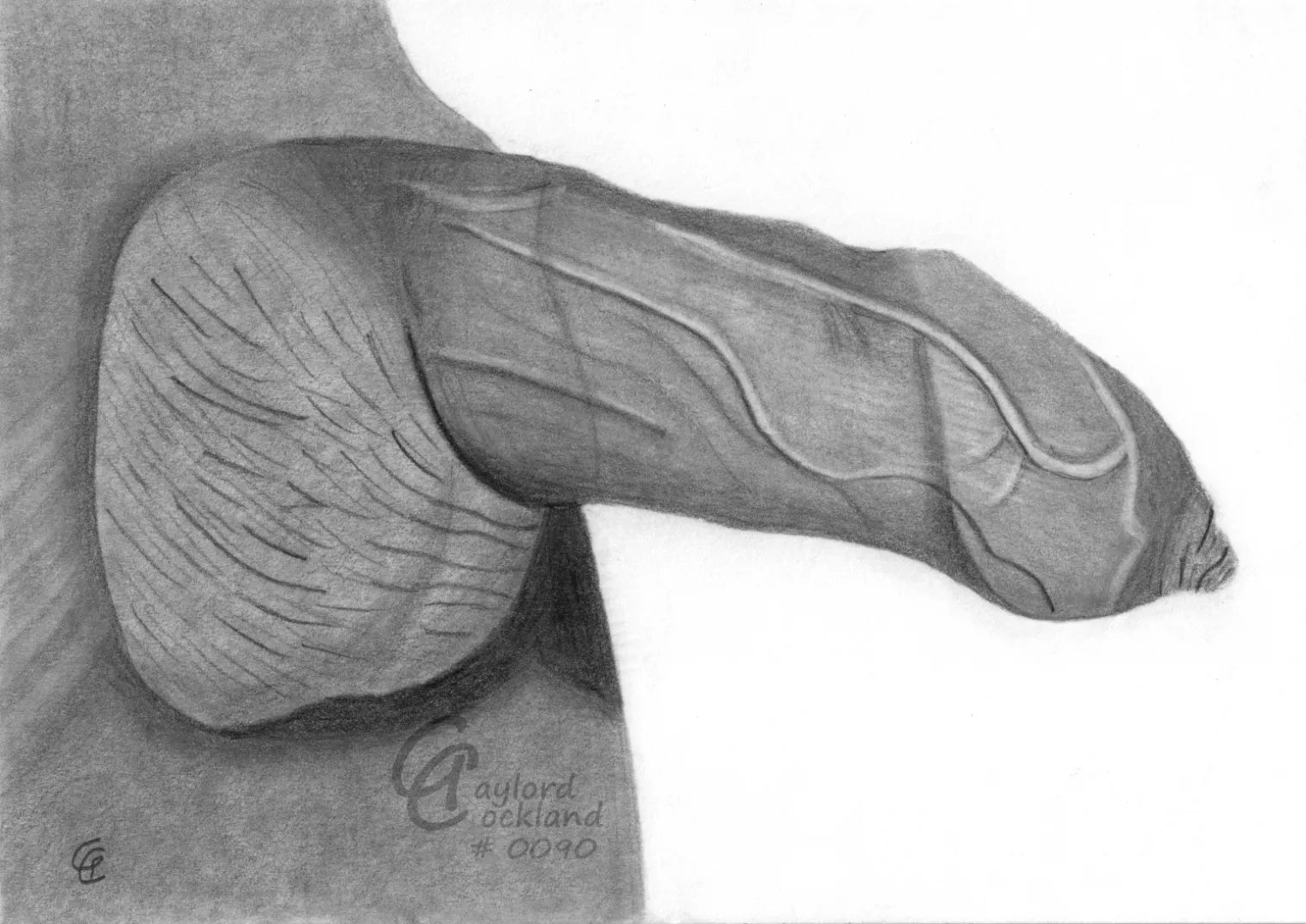 (#90) erect dick with closed foreskin, drawn by me posted by idffipff