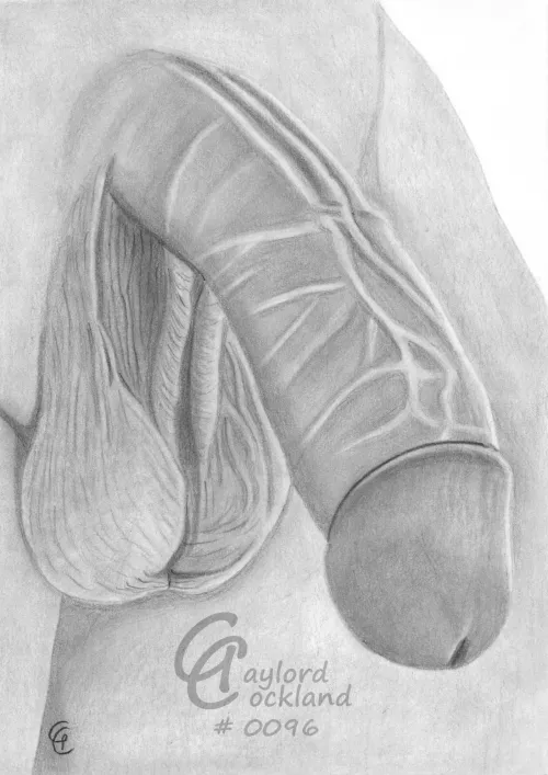 (#96) boner with open foreskin and prominent veins, drawn by me by idffipff