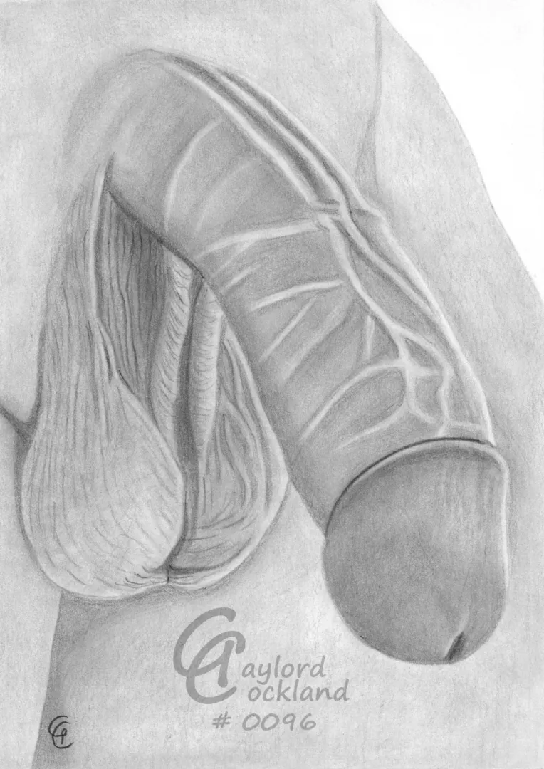 (#96) boner with open foreskin and prominent veins, drawn by me posted by idffipff