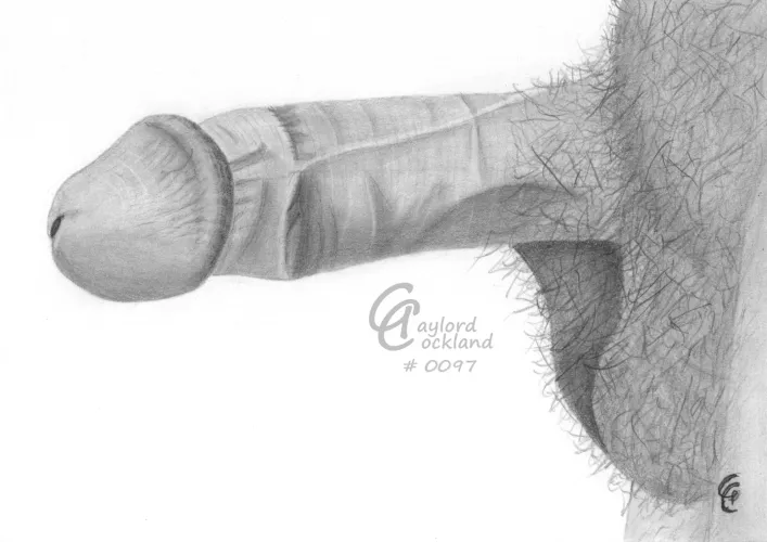 (#97) erect circumcised penis, drawn by me by idffipff