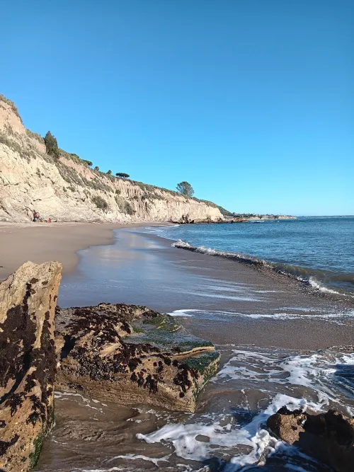 A bit windy today but we made it down by Cultural-Total1108