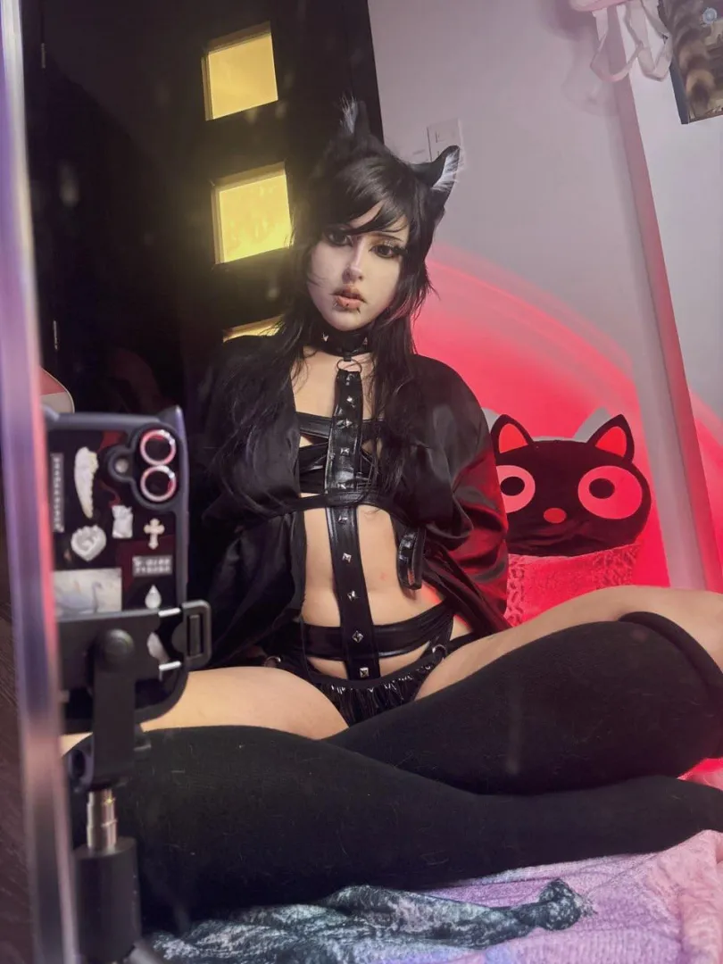 a cutie kitten posted by gothshadoww