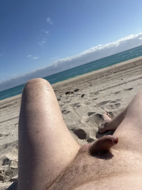 A good day at haulover today by Alarmed-Tackle-483