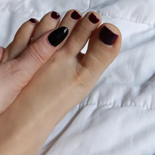 ''A Little gift for You....My OF Is FREE for the First 10 fans! Check my profile  ✨ by EvinPrivateX