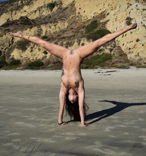 A little mixture of strength and flexibility! (oc) by thatcutielittlefox