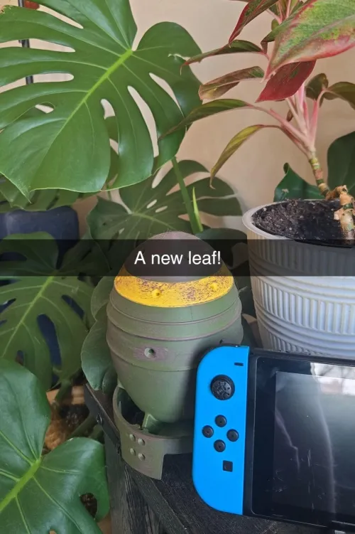 A new leaf finally emerged. by PeakAndCheeks