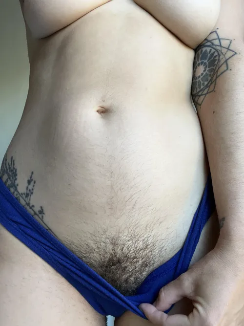 A peek at my bush by maplesyrup_girl