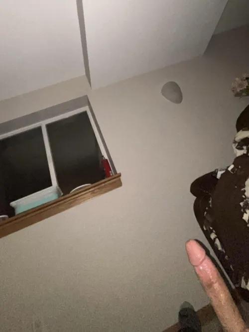 A pussy to fill would be nice by motorhead72