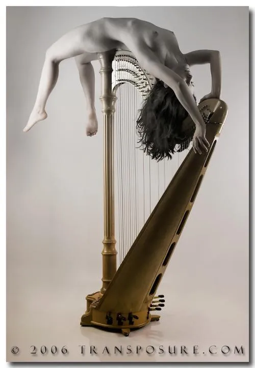 A resonant curve posted by karinds1