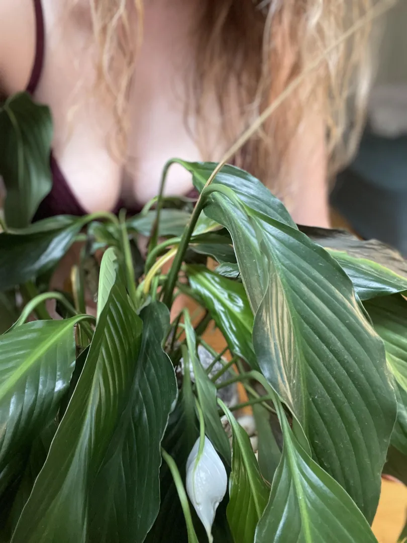 A second to appreciate the little flower trying to bloom posted by QuietlyLacey