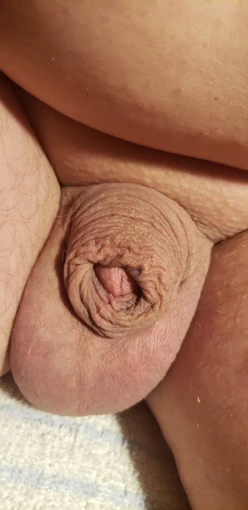 A true micro... by Siliconlike