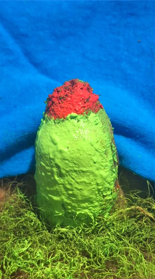 A very odd shaped rose in the grass by PineappleEater42