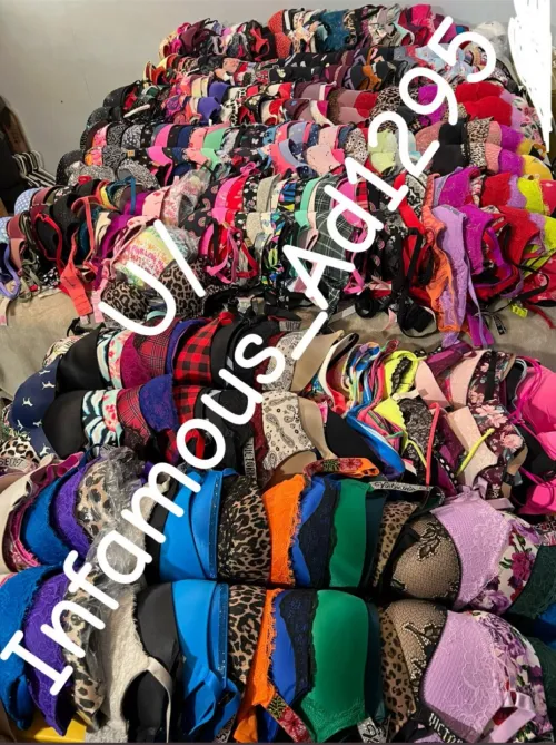 About 270 VS bras 85% of my collection by Infamous_Ad1295