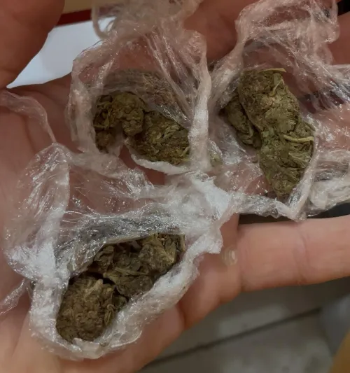 Acabei de ganhar maconha do nada kkk by Paodegat0