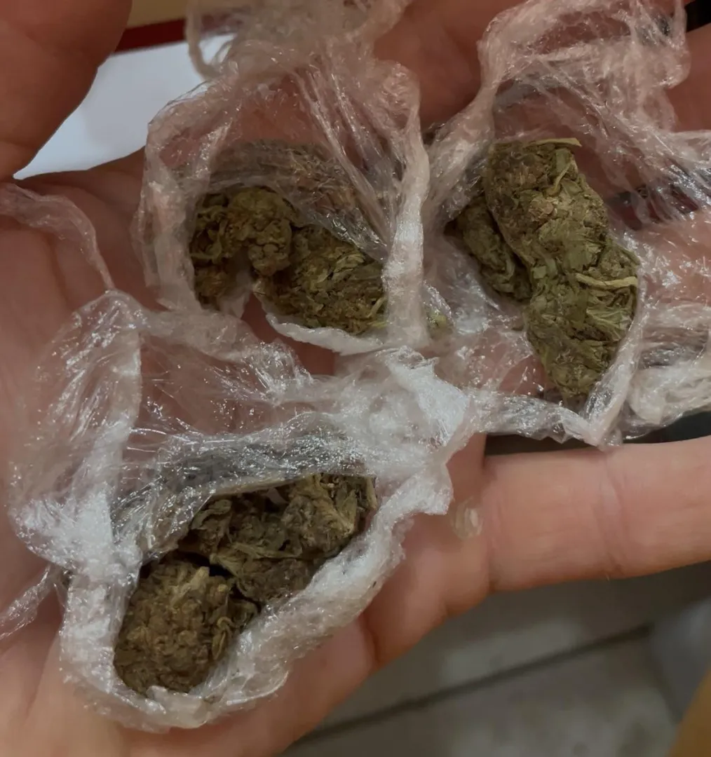 Acabei de ganhar maconha do nada kkk posted by Paodegat0