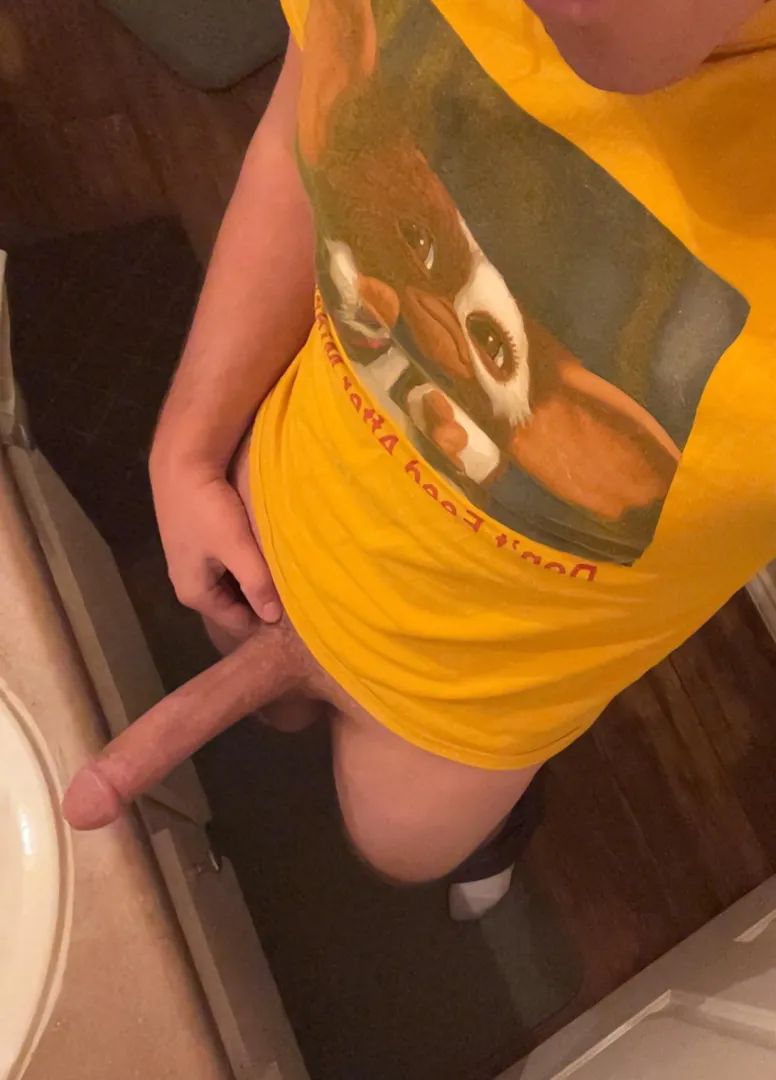 accidentally fed this after midnight, whoops posted by dongbustere