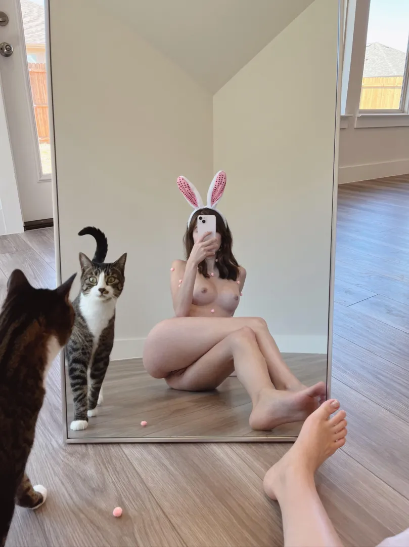 Adorable bunny and kitty.  posted by Silly-Preference-129