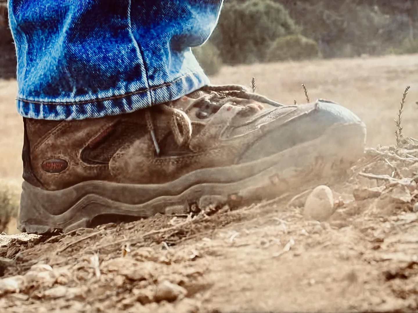 Adventure posted by manlinessnmore