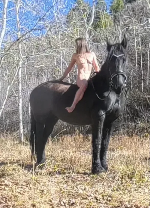 aesthetic brought to you by this noble steed by untamedhearts