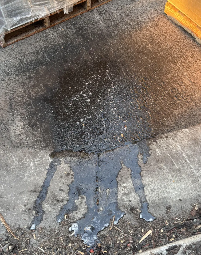 Aftermath posted by Ornate_Owl1