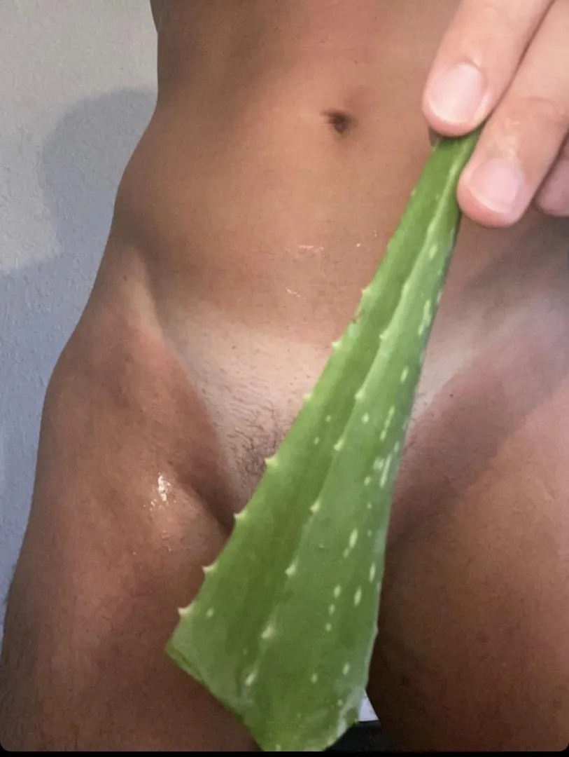 Aftermath of my cheekiest speedo. posted by Important-Ordinary71