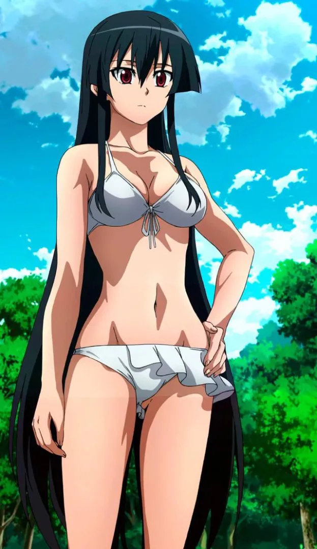 Akame Request posted by Mediocre_Courage_992