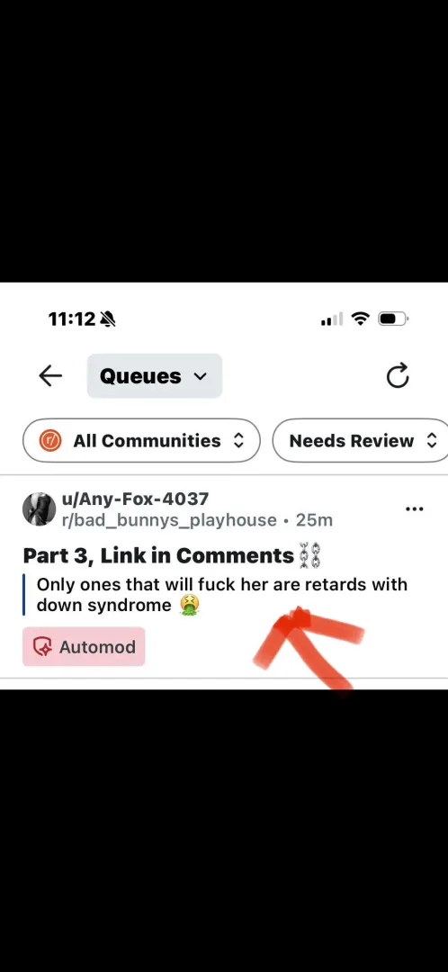 ⚠️ ALERT⚠️ posted by Bad_Bunny62391