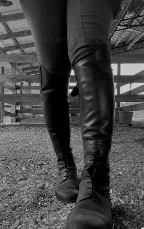 All ready for a ride by cheybabby_777