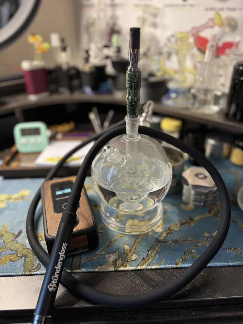 all whips are not created equal posted by LearnAlways717