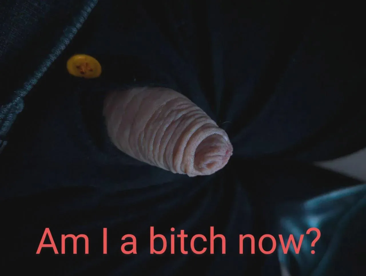 Am I? posted by fuktoy2212