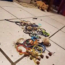 Am I the only one who is too good to use normal stitch markers? posted by Party_Act_7227