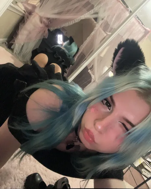 am i the perfect little pet youve been dreaming of? by 2cutelilith