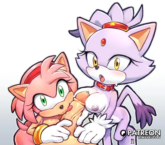 Amy & Blaze tag team [AhoandRiss] by JadedHand3951