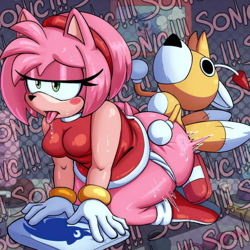 Amy Rose x Tails (endlessfin) [Sonic the Hedgehog] posted by Maximum_Virus_5364