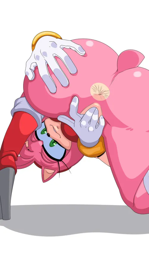 Amy's Gift For You. . . ~~ [F] (turboranger) by Too_Dang_Nasty