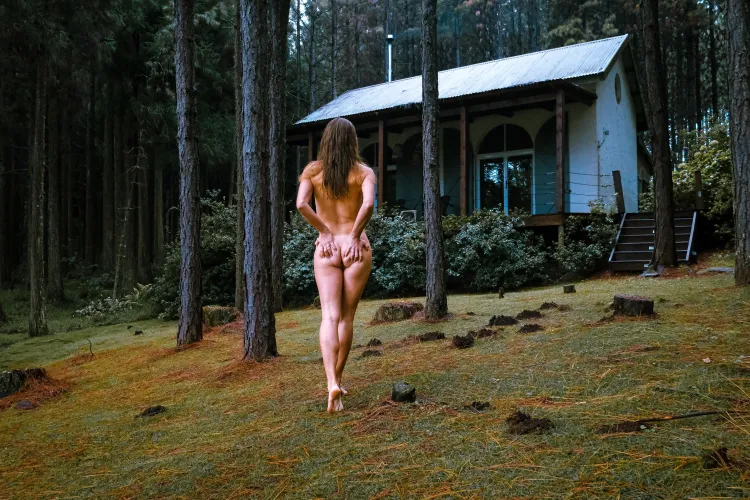 An Amazing Weekend at a Forest Cabin by JPdiaries