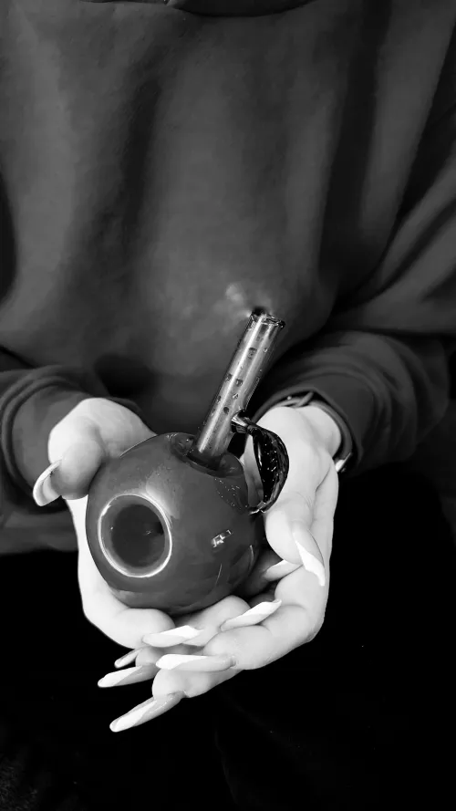 an apple a day keeps the doctor away by smokingpet