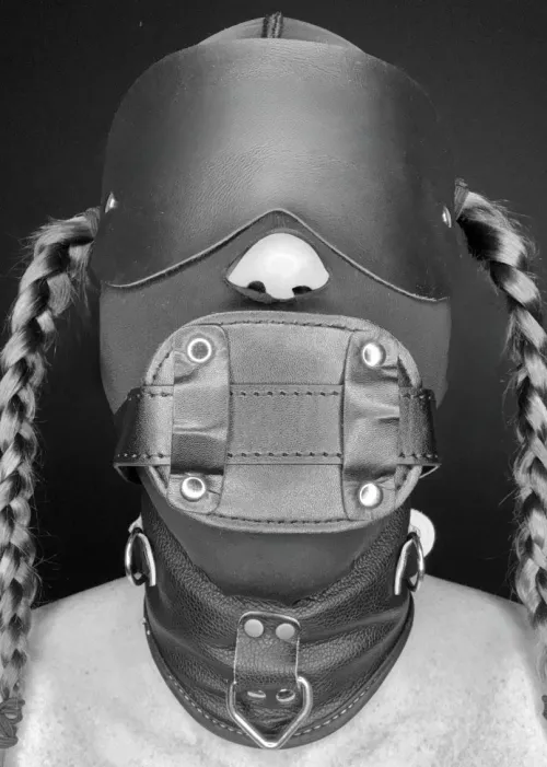 Anal pet ready to go to bed by barbarapet07