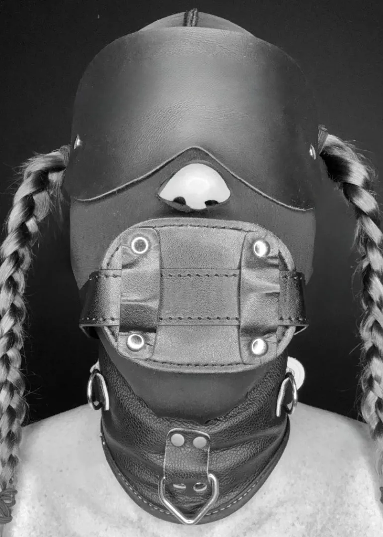 Anal pet ready to go to bed posted by barbarapet07