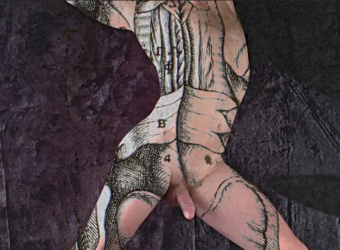 Anatomic lesson one by masculinarts