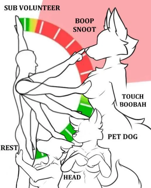Anatomical studies of movement (Furry Edition) [MF] posted by Ferocs